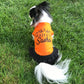 T-Shirt personnalisé pour chien et chat