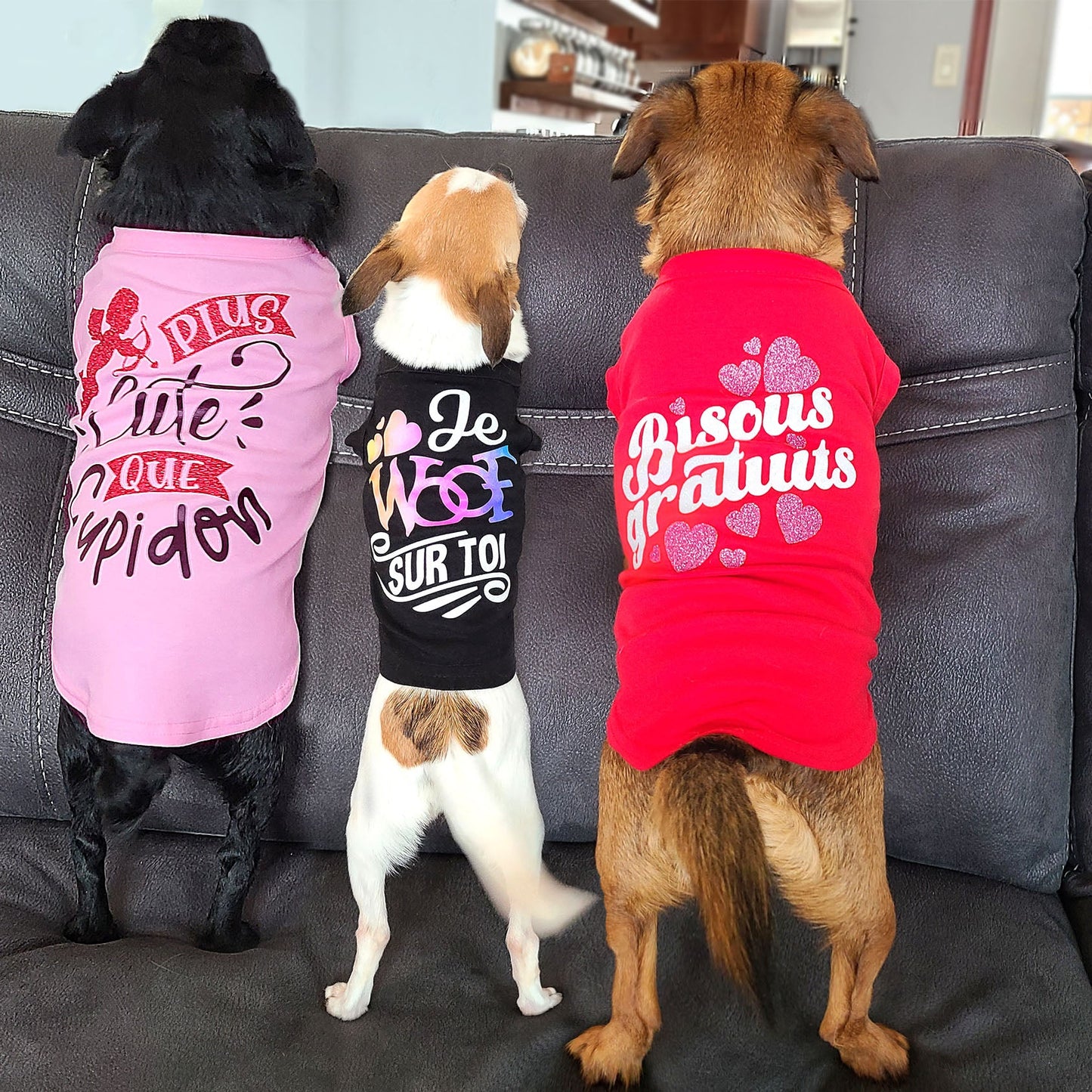 Bisous gratuits, t-shirt pour chien