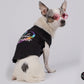 Petite lunettes rondes pour chien et chat