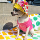 Bonnet Guilligan fleur, pour chien