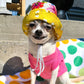 Bonnet Guilligan fleur, pour chien