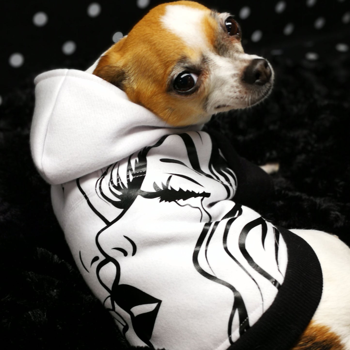 Blouson Pop Art, pour chien