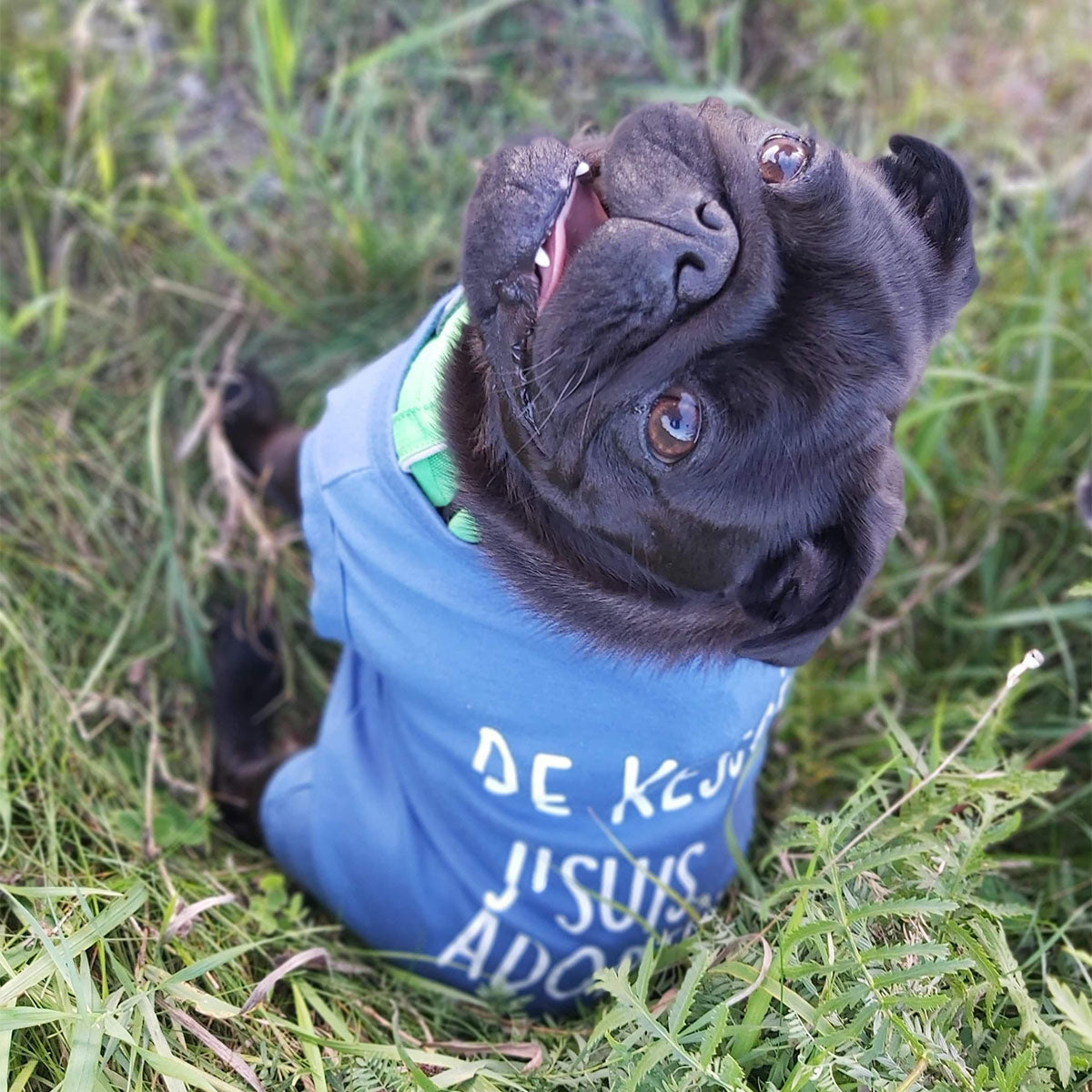 De kessé, j'suis adopté, t-shirt pour chien