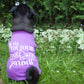Je vis toujours chez mes parents, t-shirt pour chien